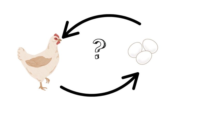 התייעלות בתנועה - סרטון מספר 10 - עדיפויות